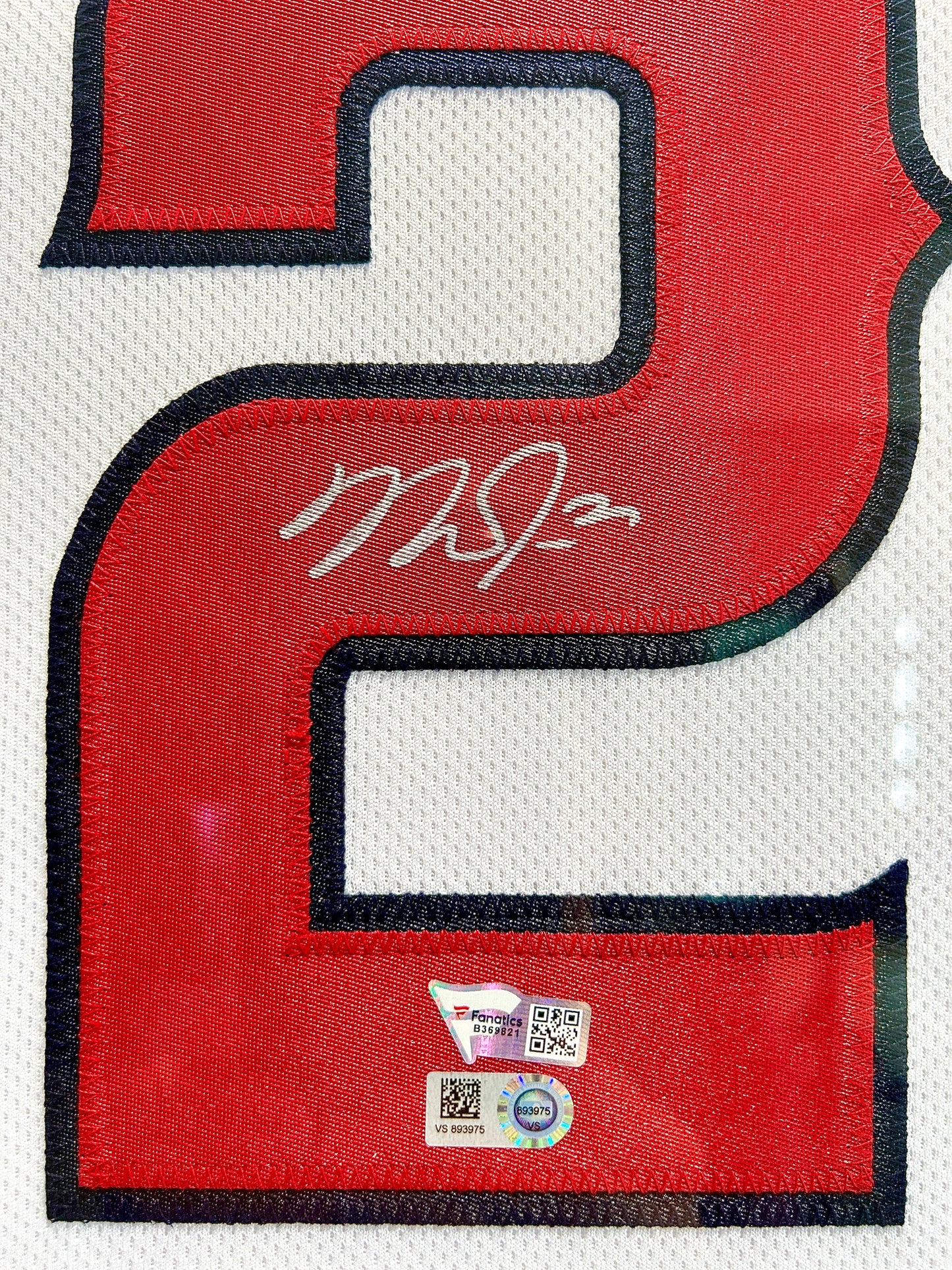 Mike Trout Signed Jersey