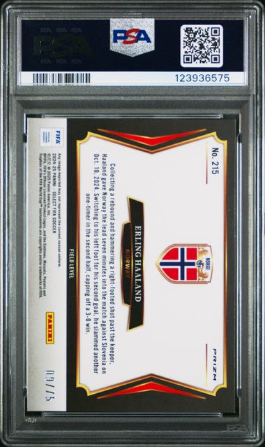 2024-25 Panini Select FIFA Bronze Checker /75 #215 Erling Haaland PSA 9 - Back
