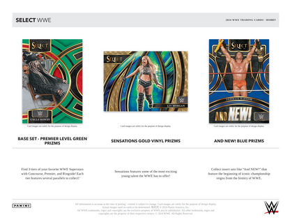 2024 Panini Select WWE Hobby Box